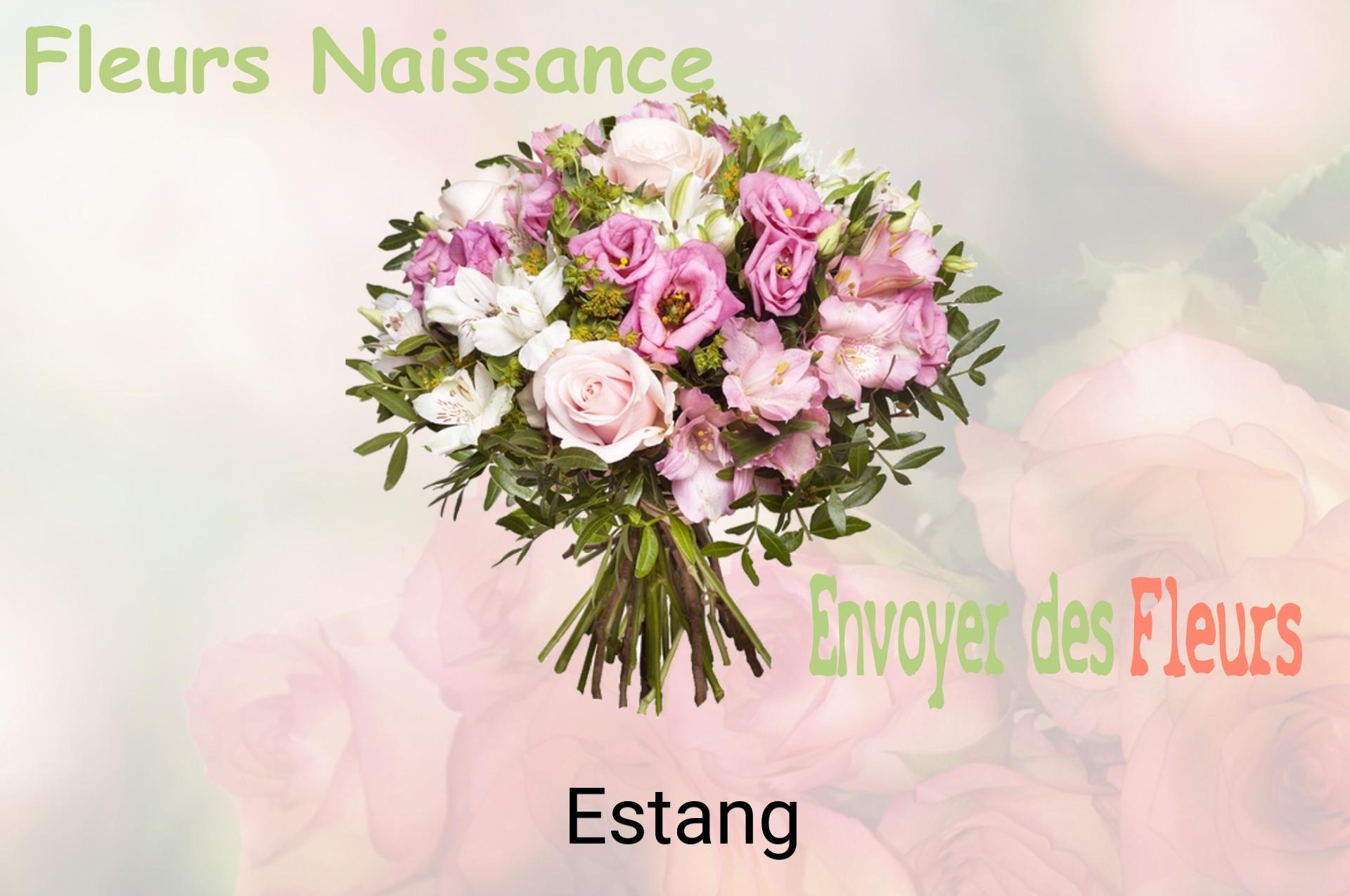 Bouquet de fleurs de naissance livré à Estang